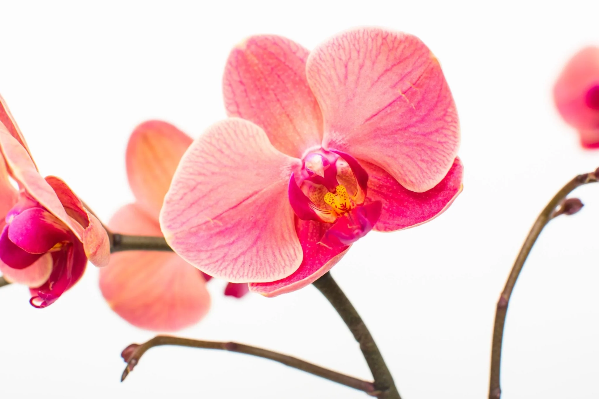 Thumbnail 16